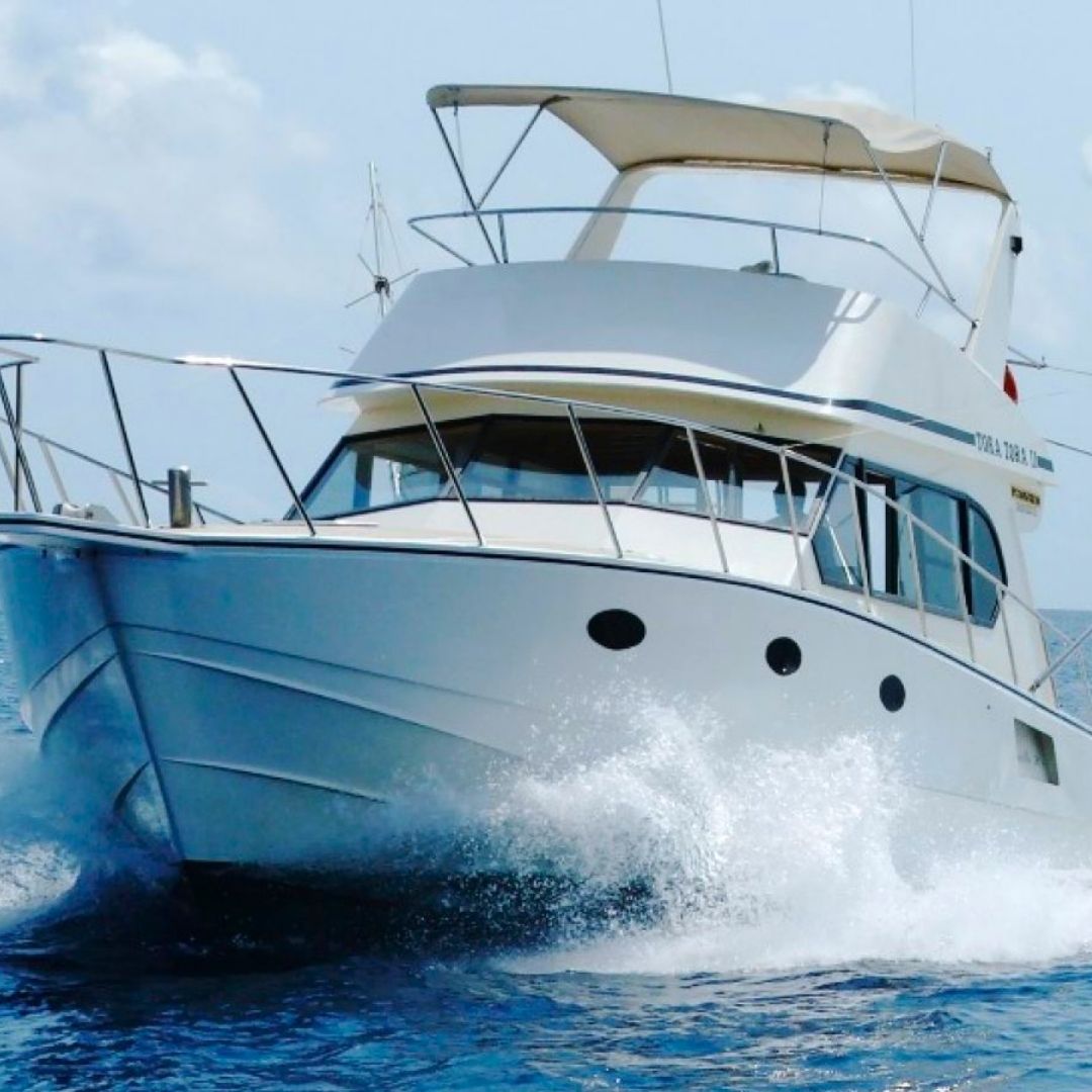 Sortie en Bateau : Détente et Pêche sur la Côte Ouest de l'Île