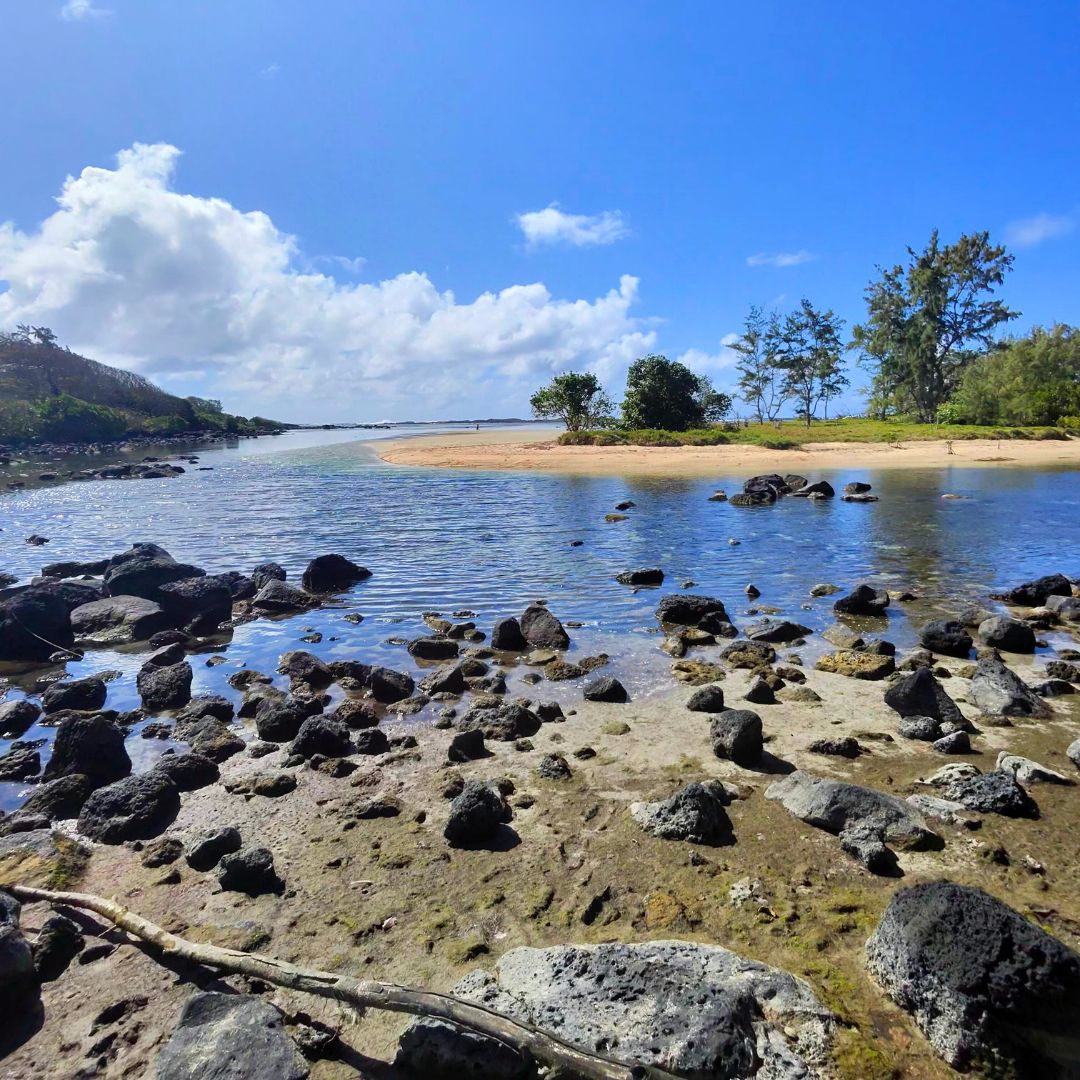 La Cambuse : Balade authentique en bord de plage
