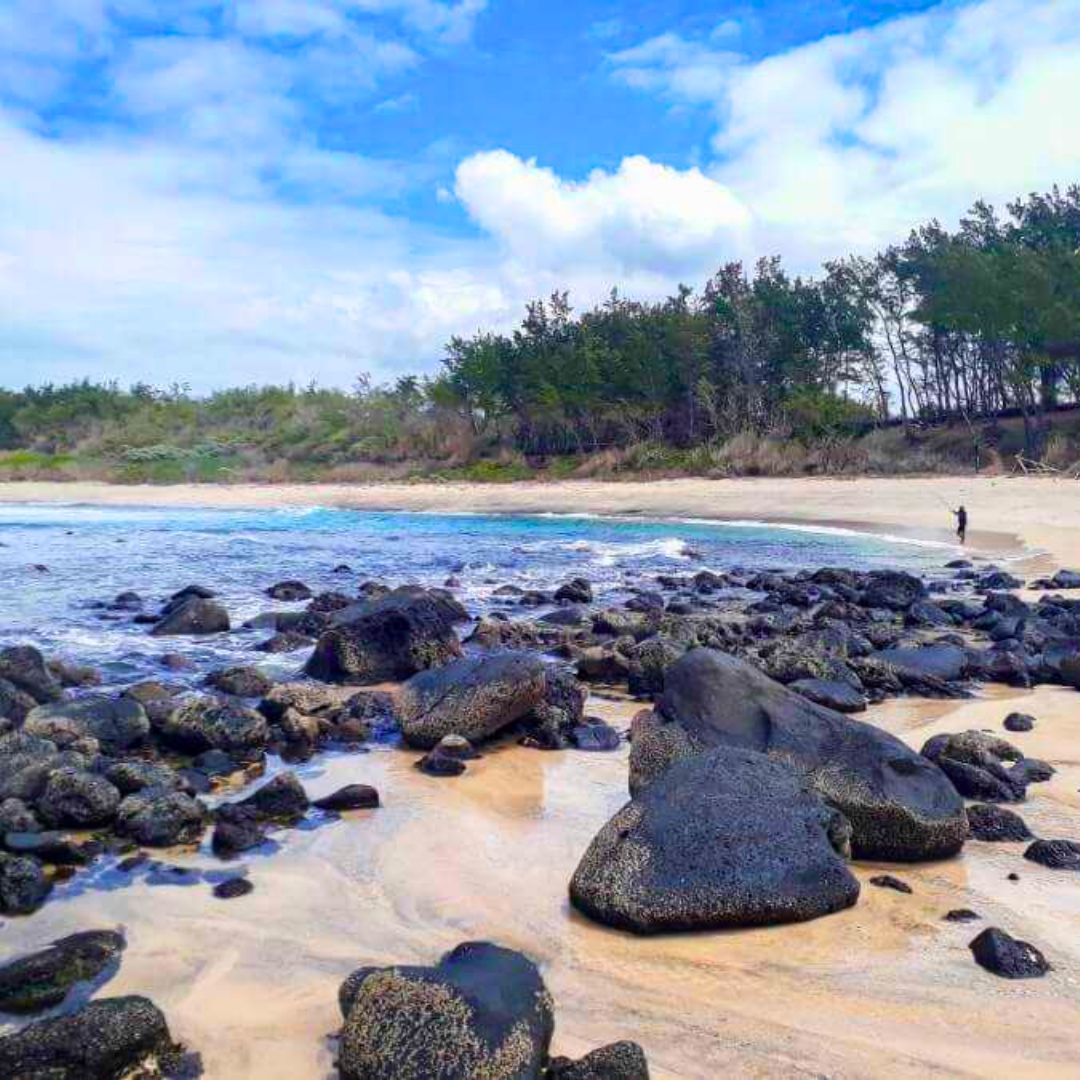 Du Souffleur à Savinia : L'aventure côtière