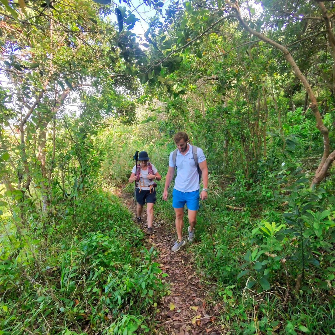 Des randonnées à couper le souffle